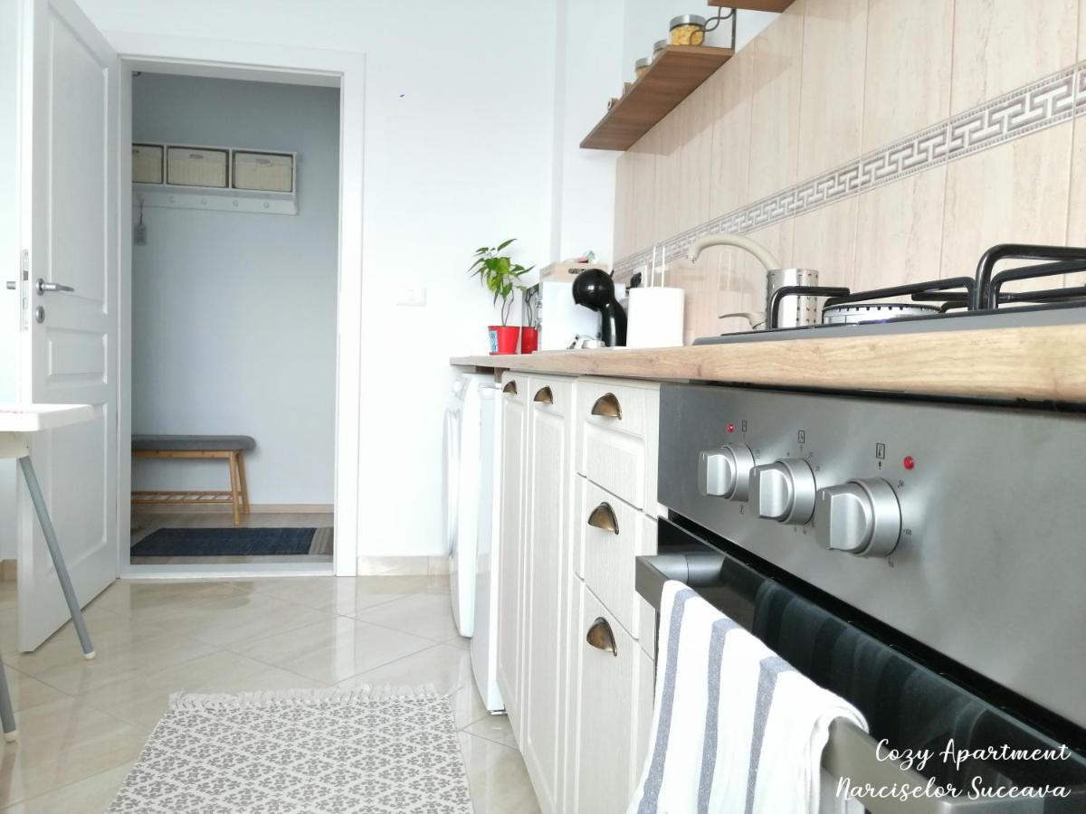 Cozy Apartment Narciselor Suceava Ipotesti  Dış mekan fotoğraf