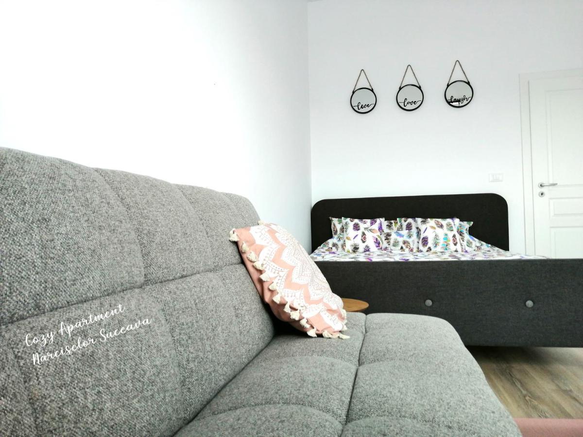 Cozy Apartment Narciselor Suceava Ipotesti  Dış mekan fotoğraf