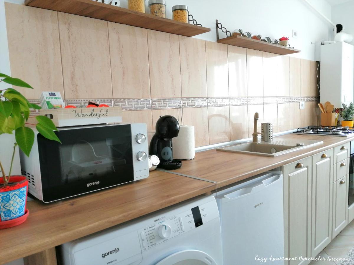 Cozy Apartment Narciselor Suceava Ipotesti  Dış mekan fotoğraf