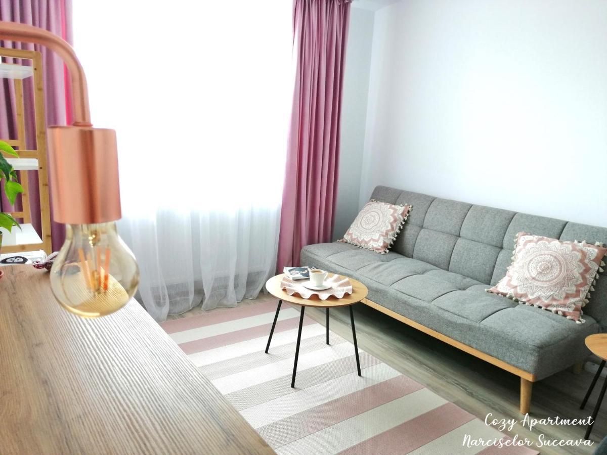 Cozy Apartment Narciselor Suceava Ipotesti  Dış mekan fotoğraf