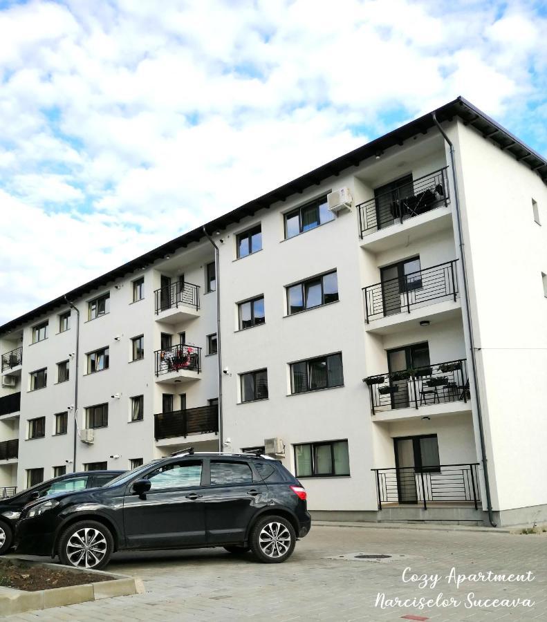 Cozy Apartment Narciselor Suceava Ipotesti  Dış mekan fotoğraf