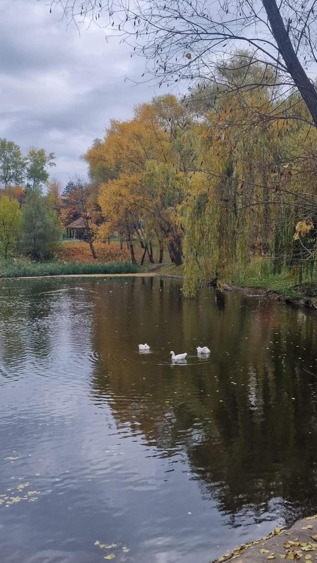 Cozy Apartment Narciselor Suceava Ipotesti  Dış mekan fotoğraf